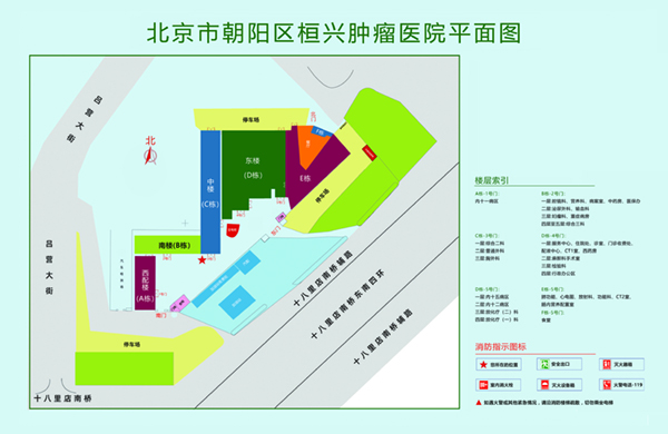 白屄黑屌北京市朝阳区桓兴肿瘤医院平面图